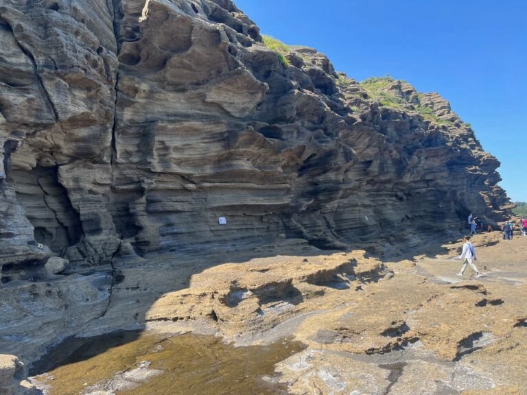 Layered sandstone cliffs along the Yongmeori Coast walking trail